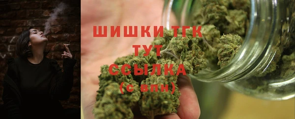 прущий лед Вязьма