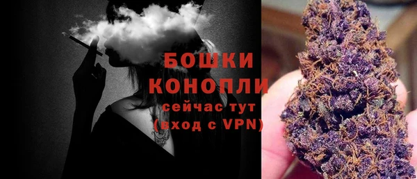 бошки Вяземский