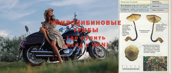 бошки Вяземский